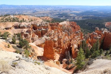 IMG_6732.jpg IMG_6732.jpg