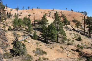 IMG_6736.jpg IMG_6736.jpg