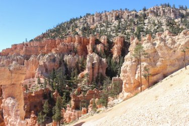 IMG_6737.jpg IMG_6737.jpg