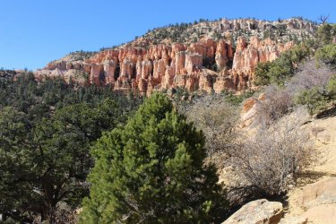 IMG_6743.jpg IMG_6743.jpg