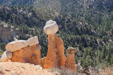 IMG_6753.jpg IMG_6753.jpg