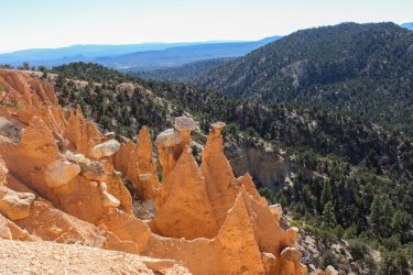 IMG_6756.jpg IMG_6756.jpg