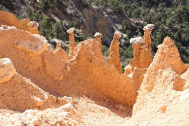 IMG_6759.jpg IMG_6759.jpg