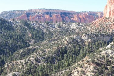 IMG_6761.jpg IMG_6761.jpg