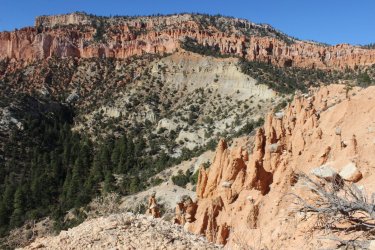 IMG_6762.jpg IMG_6762.jpg