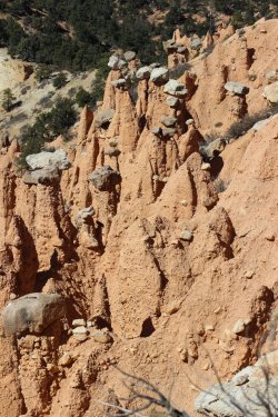 IMG_6765.jpg IMG_6765.jpg