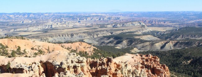 IMG_6781.jpg IMG_6781.jpg