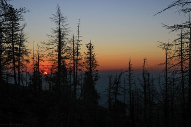 IMG_9374.jpg IMG_9374.jpg