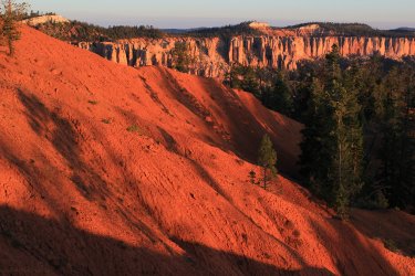 IMG_9384.jpg IMG_9384.jpg