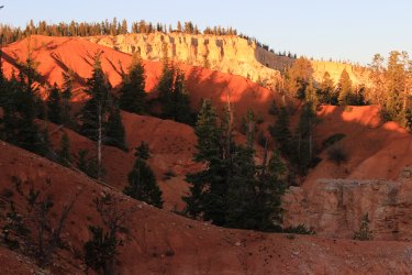 IMG_9386.jpg IMG_9386.jpg