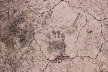 IMG_9389.jpg IMG_9389.jpg