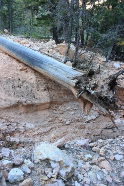 IMG_9416.jpg IMG_9416.jpg