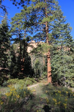 IMG_9427.jpg IMG_9427.jpg