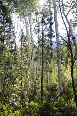 IMG_9432.jpg IMG_9432.jpg