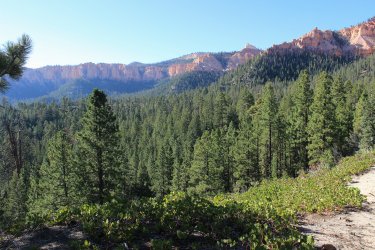 IMG_9436.jpg IMG_9436.jpg