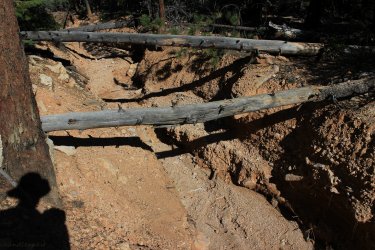 IMG_9444.jpg IMG_9444.jpg