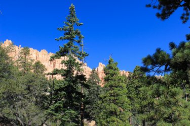 IMG_9448.jpg IMG_9448.jpg