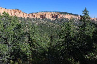 IMG_9454.jpg IMG_9454.jpg