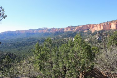 IMG_9458.jpg IMG_9458.jpg