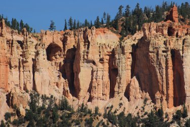 IMG_9460.jpg IMG_9460.jpg