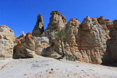 IMG_9480.jpg IMG_9480.jpg