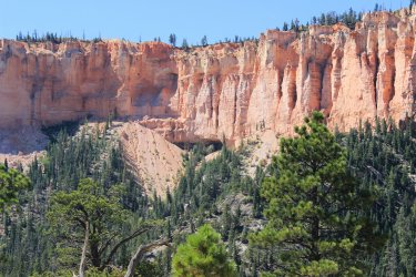 IMG_9481.jpg IMG_9481.jpg