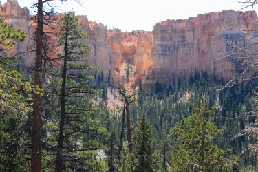 IMG_9490.jpg IMG_9490.jpg