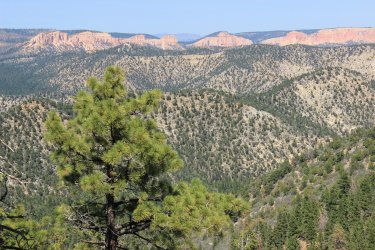 IMG_9492.jpg IMG_9492.jpg