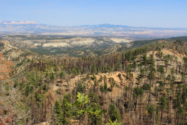 IMG_9494.jpg IMG_9494.jpg