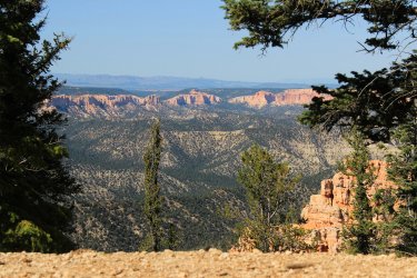 IMG_9507.jpg IMG_9507.jpg