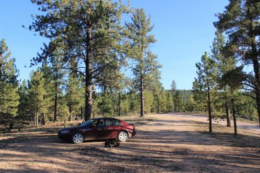 IMG_9519.jpg IMG_9519.jpg