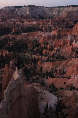 IMG_9523.jpg IMG_9523.jpg