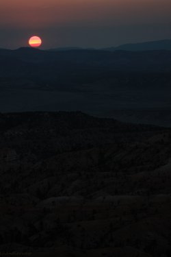 IMG_9528.jpg IMG_9528.jpg