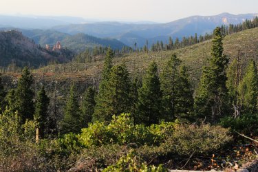 IMG_9556.jpg IMG_9556.jpg