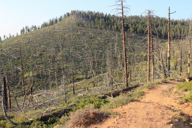 IMG_9558.jpg IMG_9558.jpg