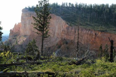 IMG_9568.jpg IMG_9568.jpg