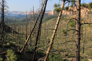 IMG_9578.jpg IMG_9578.jpg