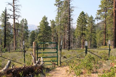 IMG_9588.jpg IMG_9588.jpg