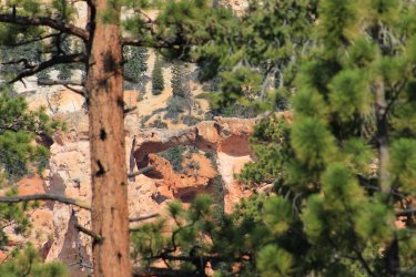 IMG_9593.jpg IMG_9593.jpg