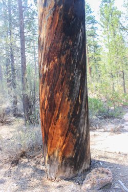 IMG_9610.jpg IMG_9610.jpg