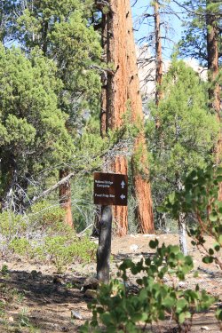 IMG_9612.jpg IMG_9612.jpg