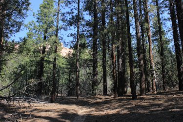 IMG_9613.jpg IMG_9613.jpg