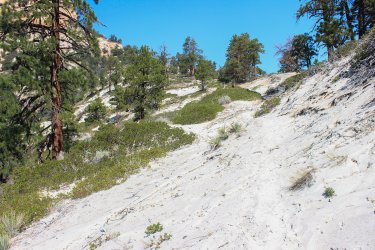 IMG_9614.jpg IMG_9614.jpg