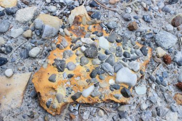 IMG_9617.jpg IMG_9617.jpg