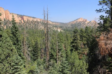 IMG_9619.jpg IMG_9619.jpg