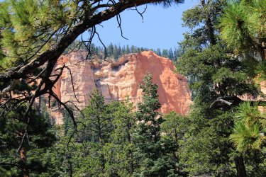 IMG_9622.jpg IMG_9622.jpg