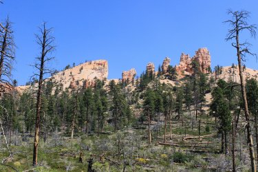 IMG_9634.jpg IMG_9634.jpg