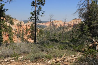 IMG_9639.jpg IMG_9639.jpg