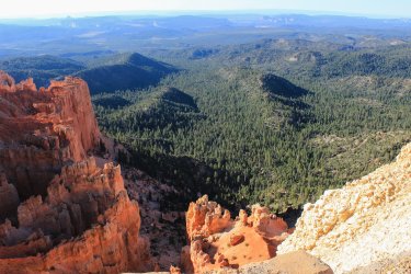 IMG_9665.jpg IMG_9665.jpg