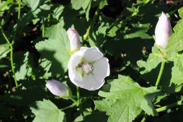 IMG_9675.jpg IMG_9675.jpg